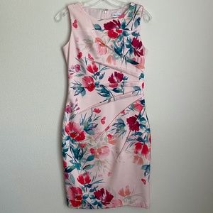Calvin Klein - Size 4 - Women's Sleeveless Fitted Cocktail Floral Sheath Dress